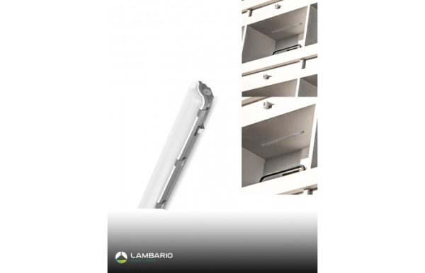 LT01-1200_2-700x450h